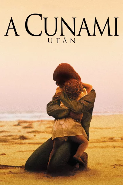 A cunami után poszter