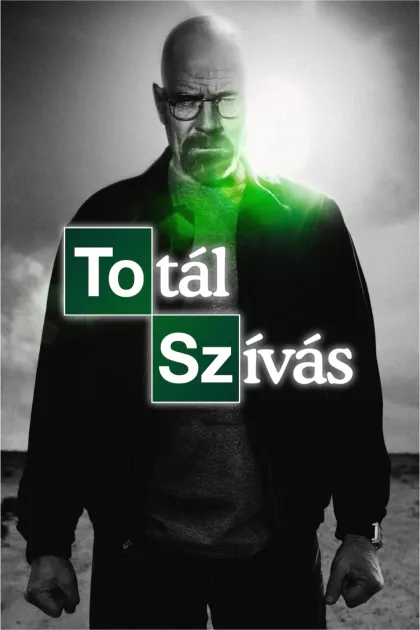 Totál szívás poszter