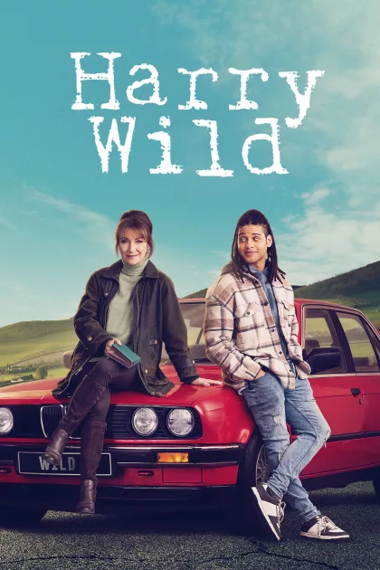Harry Wild poszter