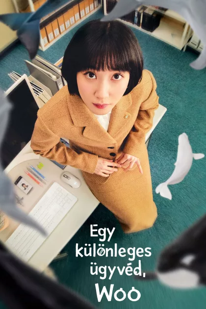 Egy különleges ügyvéd, Woo poszter