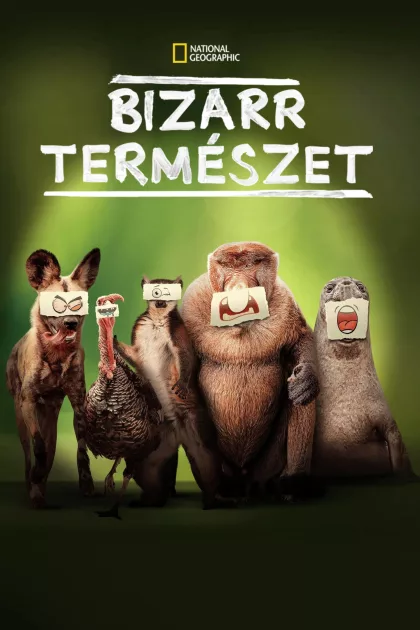 Bizarr természet poszter