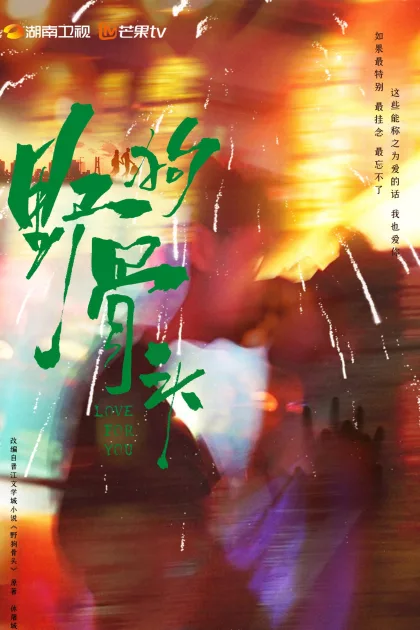 野狗骨头 poszter
