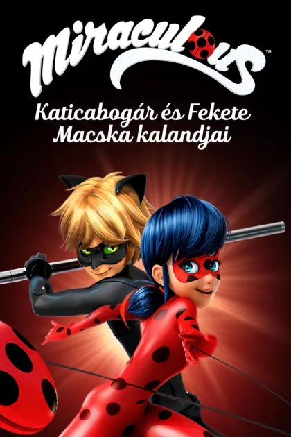 Miraculous Katicabogár és Fekete Macska kalandjai poszter