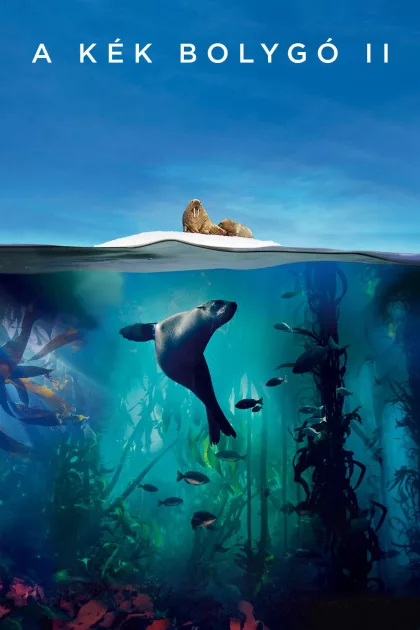A kék bolygó II poszter