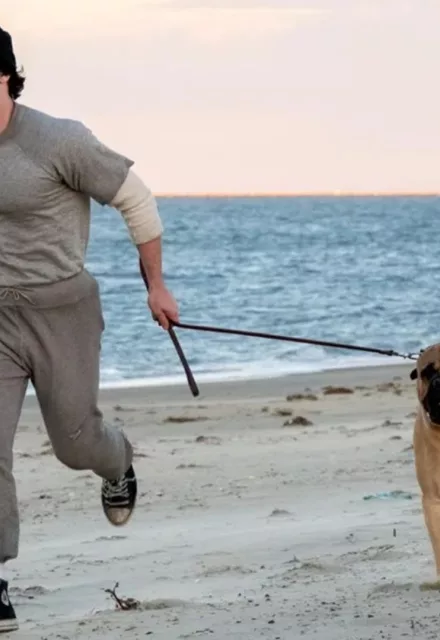 I Play Rocky: az igaz történet Sylvester Stallone-ról – megérkezett az első előzetes